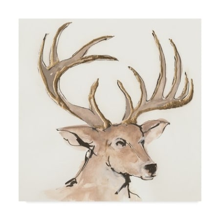 Chris Paschke 'Gilded Mule Deer' Canvas Art,24x24